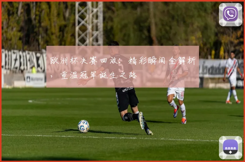 欧洲杯决赛回放：精彩瞬间全解析，重温冠军诞生之路