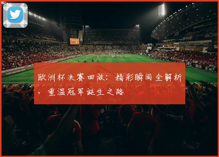 欧洲杯决赛回放：精彩瞬间全解析，重温冠军诞生之路